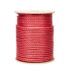 Erin Rope 3/8 X 600 Ft Twisted Red Polypropylene Rope